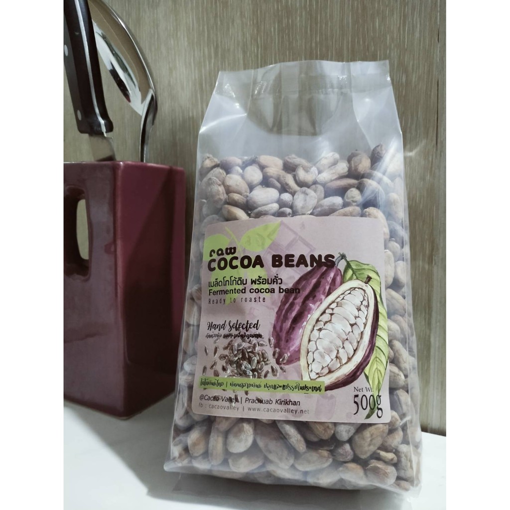 เมล็ดโกโก้-cacao-bean-cocoa-bean-พร้อมนำไปคั่ว-อบ-ทำเครื่องดิ่ม-ทำช็อกโกแลท-โกโก้นิบส์