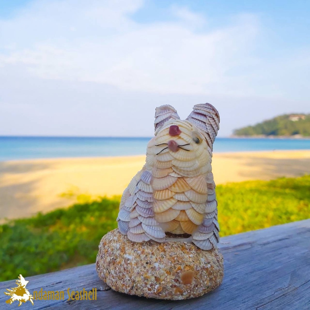 andaman-seashell-ตุ๊กตาปูนปั้นติดเปลือกหอย-กระต่าย-ติดหอยแครง