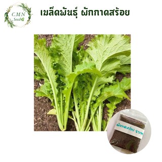 เมล็ดพันธุ์ผักกาดสร้อย 10 กรัม 8 บาท