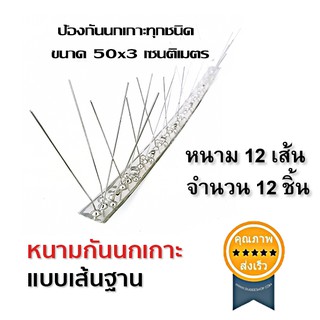 หนามกันนกฐานสแตนเลส 12เส้น 12ชิ้น (ส่ง​เร็ว​ ส่งจากไทย)​