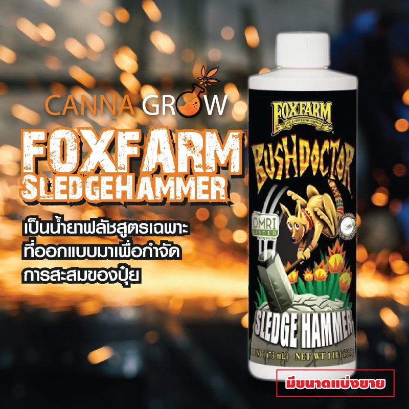 Fox farm Sledgehammer น้ำยาฟรัชปุ๋ย ล้างสิ่งสกปรก ล้างสารตกค้างในพืช