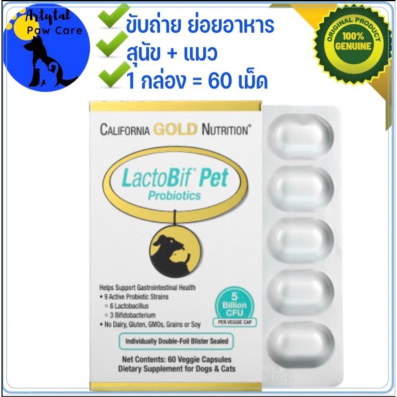 ภาพหน้าปกสินค้าLactoBif Pet Probiotics, 5​ Billion CFU, Exp.2025, Blister​ Pack​(1,3.แผง) จากร้าน artytal บน Shopee