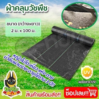 พลาสติกคลุมวัชพืช ขนาด2mx100m ผ้าคลุมหญ้า สีดำ  พลาสติกคลุมดิน ฆ่าหญ้า กันหญ้า กำจัดหญ้า จัดสวน น้ำซึมผ่านได้