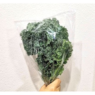 สินค้า แคล Kale คะน้าใบหยิก ไฮโดรโปนิกส์ สด สะอาด รับประกันคุณภาพ