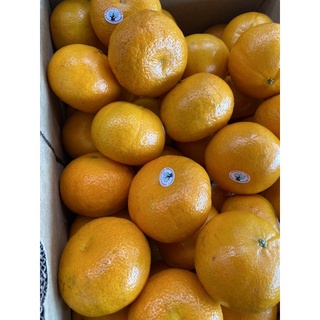 ส้มออสเตรเลียกล่องล9กิโล