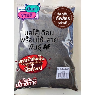 มูลไส้เดือนพร้อมใช้  สายพันธุ์ AF