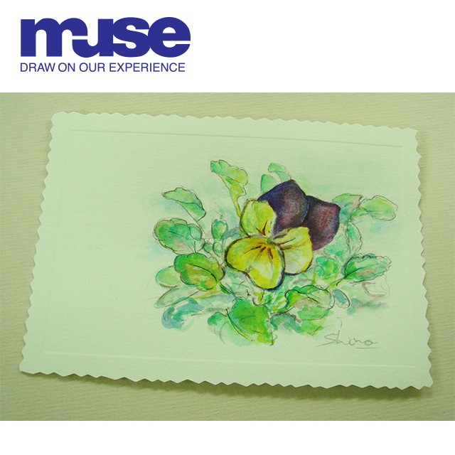 muse-post-crad-สีน้ำ-muse-new-bresdin-notchy-post-card-new-bresdin-paper