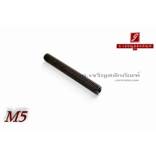 ภาพหน้าปกสินค้าน็อตตัวหนอนดำแข็ง M5 ซึ่งคุณอาจชอบราคาและรีวิวของสินค้านี้