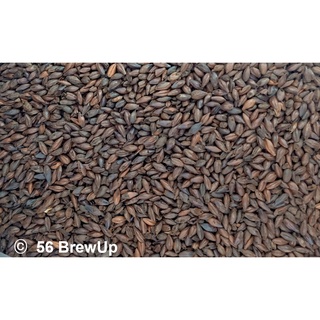 BLACK||Brewing Malt||Castle Malting||มอลต์