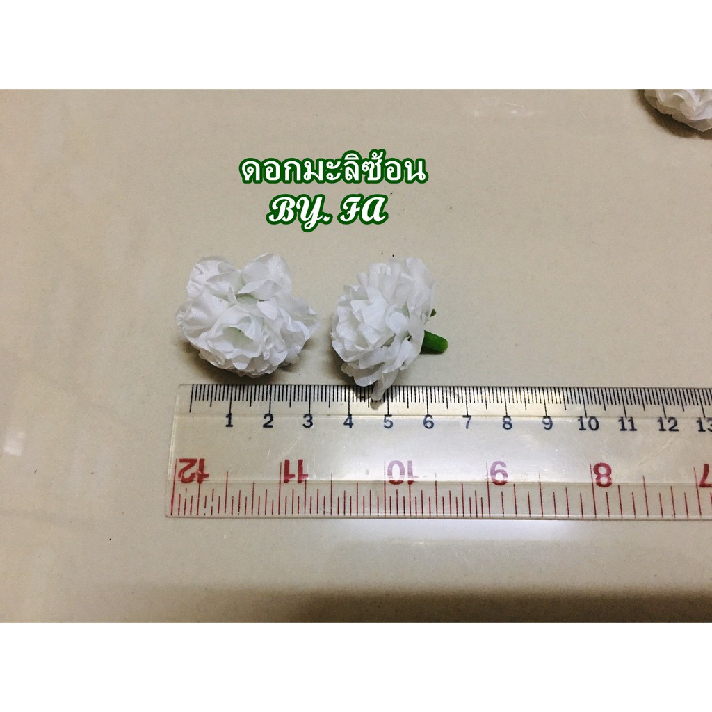 ดอกมะลิ-ดอกมะลิวันแม่-ดอกมะลิซ้อน-15-25ดอกมะลิผ้า-no-098