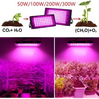 220V Full Spectrum LED Grow Light 50W/100W/200W /300Wไฟปลุกต้นไม้ ไฟช่วยต้นไม้ตัวเร็ว มีสวิตช์ปิดเปิด สายไฟยาว1.5โมตร