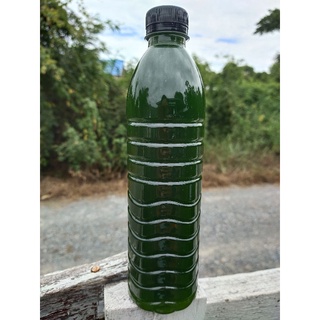 ราคาและรีวิวหัวเชื้อน้ำเขียว(คลอเรลล่า​ 100%)ขนาด​ 600​ ml.