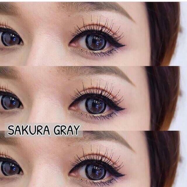 sakura-gray-1-kitty-kawaii-ซากุระ-สีเทา-เทา-เน้นขอบดำ-ตาโต-โทนแบ๊ว-ค่าอมน้ำสูง-contact-lens-bigeyes-คอนแทคเลนส์