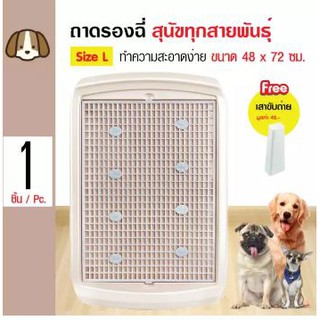 ถาดรองฉี่สุนัข สำหรับสุนัขทุกสายพันธุ์ Size L ขนาด 48x72 ซม. แถมฟรี! เสาปัสสาวะถอดได้ สีครีม