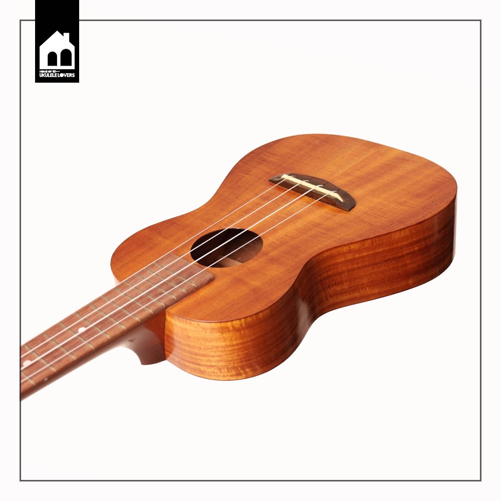 Melokia all solid Acacia Concert Ukulele อูคูเลเล่ไม้อะเคเซีย ยี่ห้อเม ...