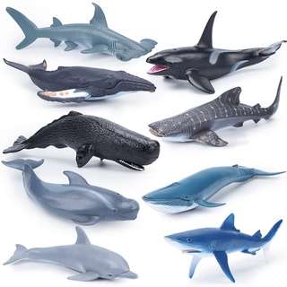 ภาพหน้าปกสินค้าโมเดลฟิกเกอร์ Pvc รูปปลาวาฬ ปลาฉลาม โมเดลปลาวาฬจําลอง ของเล่นเสริมการเรียนรู้ สําหรับเด็ก ที่เกี่ยวข้อง
