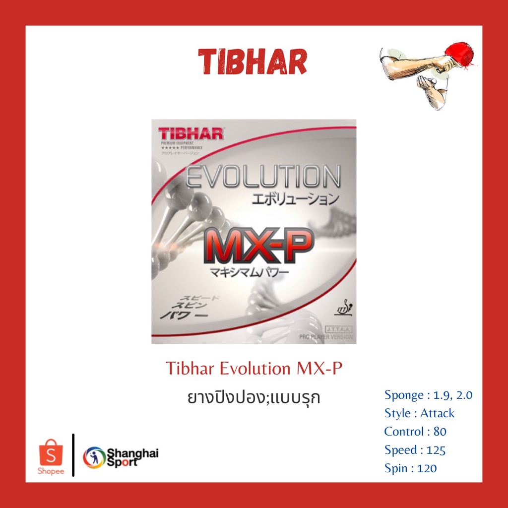 ราคาและรีวิวยางปิงปอง Tibhar Evolution MX-P