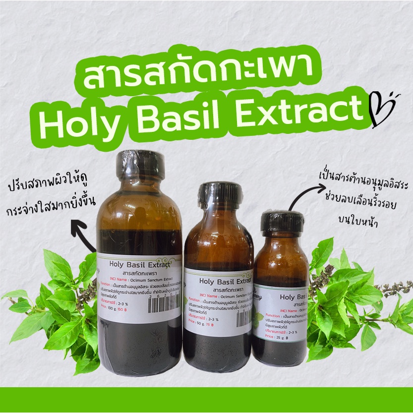 สารสกัดกะเพรา-holy-basil-extract-สารสกัดสมุนไพรธรรมชาติ-สำหรับผสมเครื่องสำอางเท่านั้น