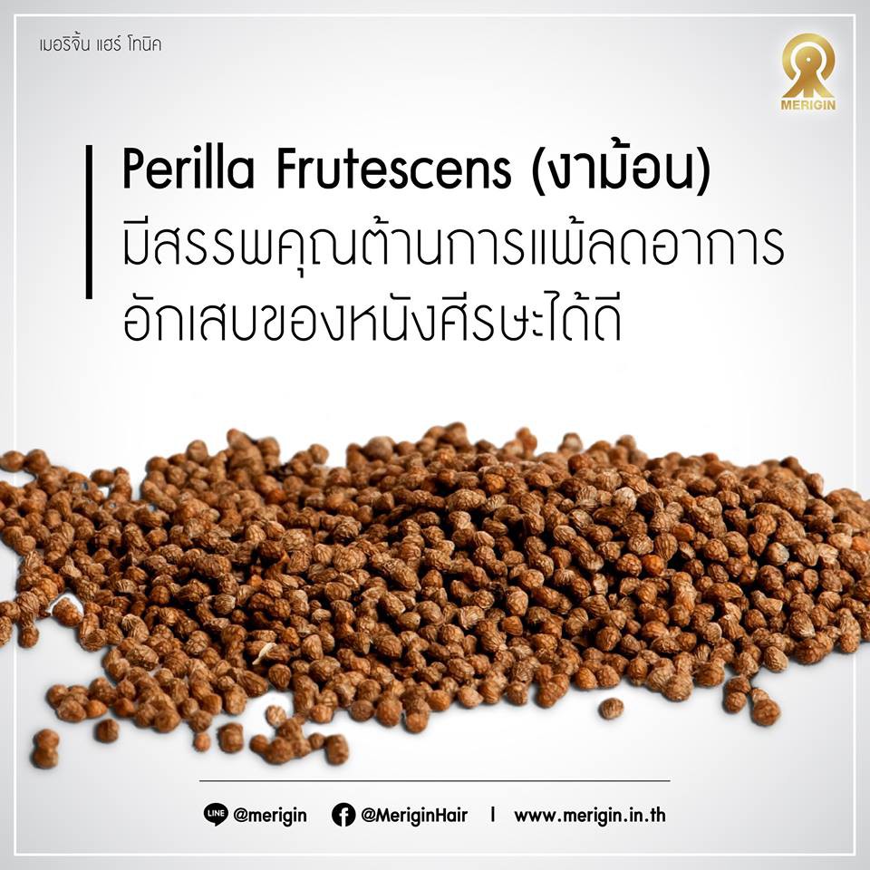 merigin-hair-tonic-ลดผมร่วง-บำรุงรากผม-บรรเทาปัญหาผมขาว-รักษาหนังศีรษะ-เพิ่มความชุ่มชื้นให้เส้นผม