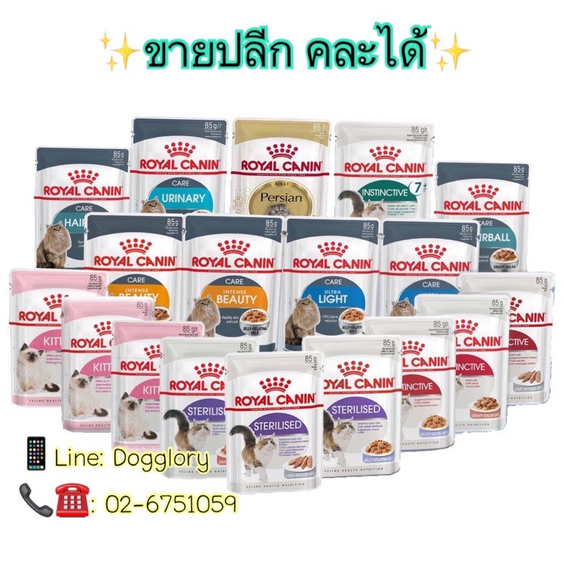 royal-canin-เปียกแมว-คละรส-pouch-kitten-persia-hairball-beauty-urinary-แมวโต-gravy-jelly-loaf-หมัน-light-เปียก