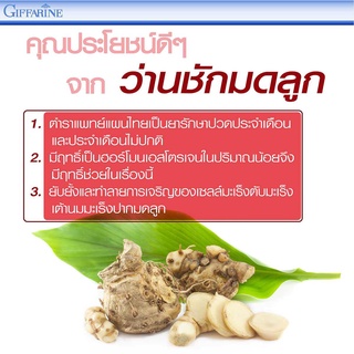 ภาพขนาดย่อของภาพหน้าปกสินค้ายาสตรีว่านชักมดลูก ว่านชักมดลูก กิฟฟารีน แก้ประจำเดือนไม่ปกติ บำรุงผิวพรรณ ขับน้ำคาวปลา Giffarine Wan-Chakmotluk จากร้าน tayakornf บน Shopee ภาพที่ 1