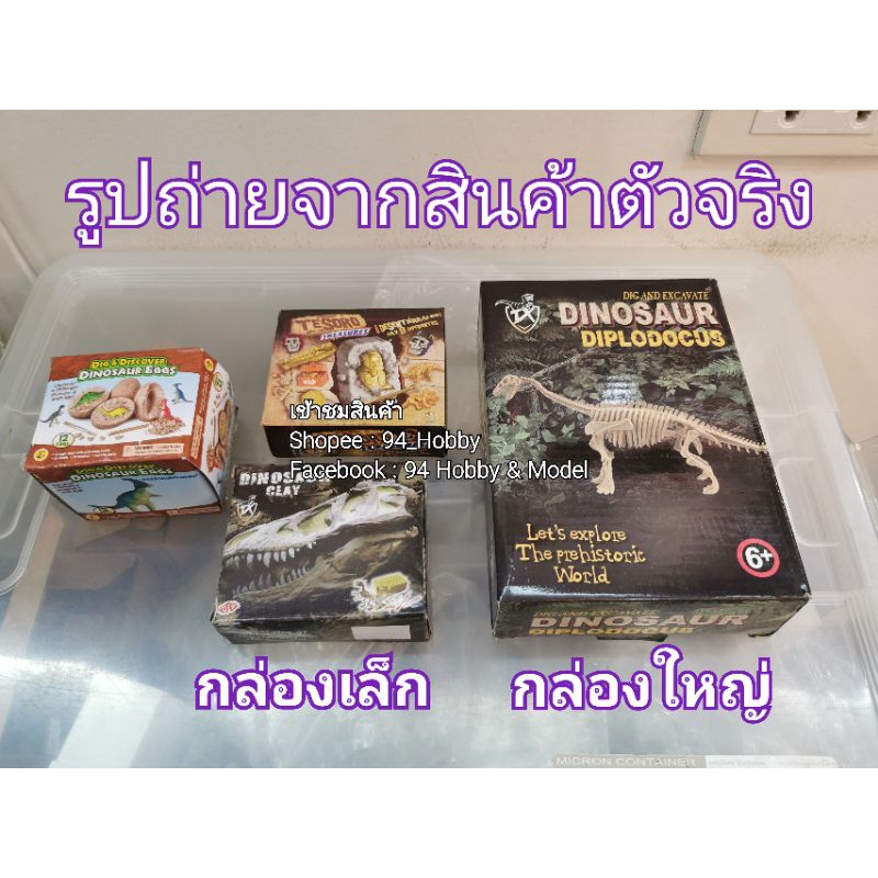 ฟอสซิล-ซากไดโนเสาร์-นักสำรวจ-ฟอสซิลจำลอง-ไดโนเสาร์