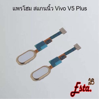 แพรโฮมสแกนนิ้ว [FingerScan-Flex] Vivo V5,V5 Plus