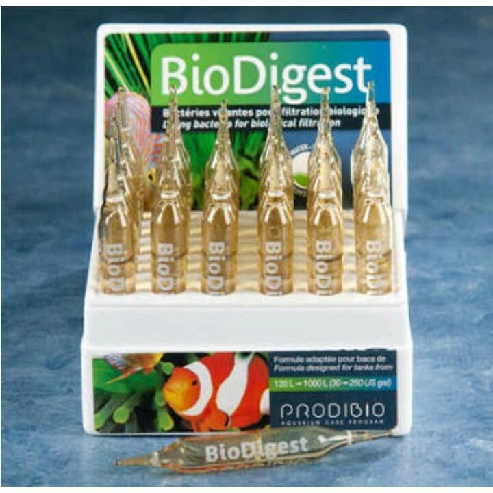 แบคทีเรียน้ำแบบหลอด ไบโอไดเจท (BioDigest) แบบชนิดขาย6หลอด | Shopee Thailand