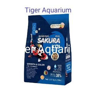 อาหารปลาคาร์ฟ (SARURA KOI)🔵 สูตรน้ำเงิน เร่งสี&เร่งโต มีโปรตีนคุณภาพสูง ช่วยให้ปลามีโครงสร้างโต ล่ำ สมส่วน