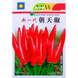 Pelbagai Biji Benih Cili PEPPER CHILI SPECIES SEEDS พริกไทยเมล็ด上衣/玫瑰/生菜/头饰/苹果/园艺/木瓜/seeds/芹菜/鲜花//กุหลาบ XR75