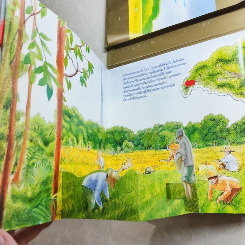 บ้านพ่อ-วังสวนจิตรลดา-หนังสือ-pop-up