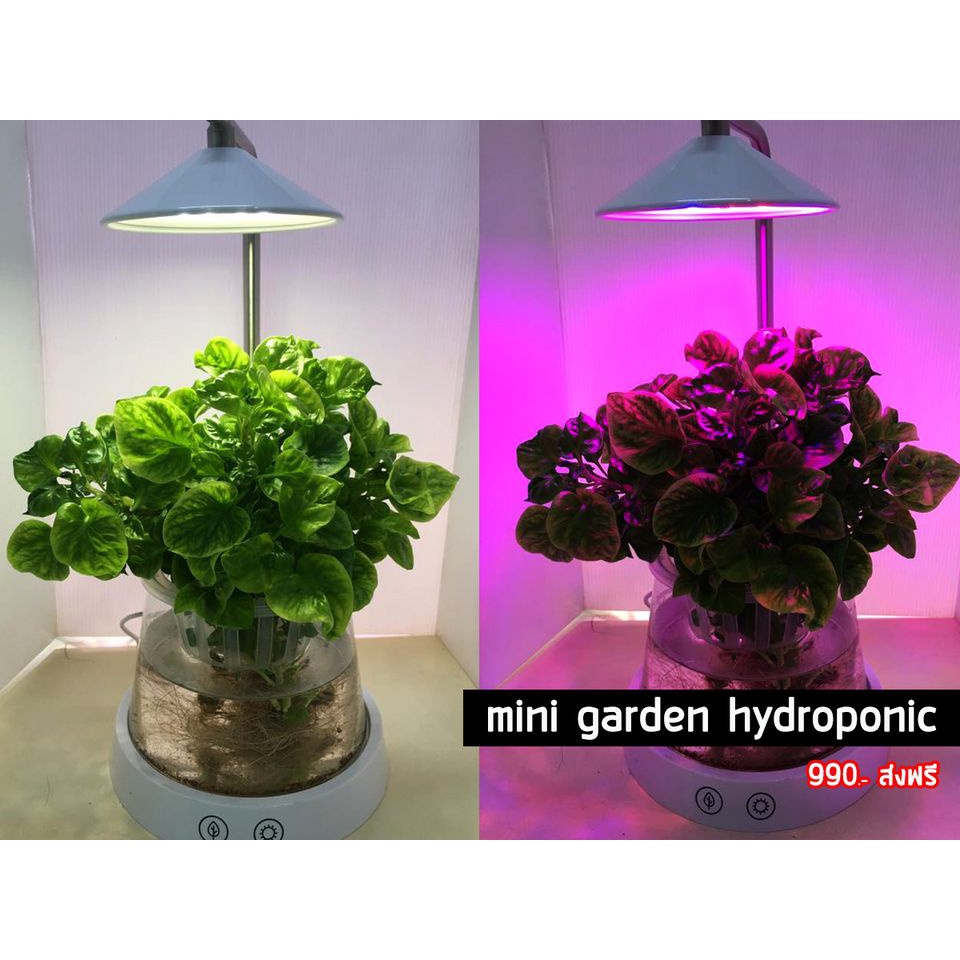 โคมไฟปลูกต้นไม้-mini-garden-hydroponic