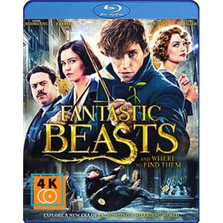 หนัง Blu-ray Fantastic Beasts and Where to Find Them (2016) สัตว์มหัศจรรย์และถิ่นที่อยู่