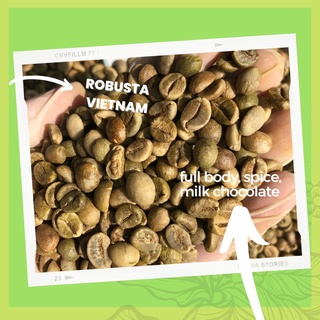 ภาพขนาดย่อของภาพหน้าปกสินค้า️ ถูกและดี   เมล็ดกาแฟดิบ เมล็ดโรบัสต้า เวียดนาม น่าน Pumirak_Coffee.Beans จากร้าน pumirak_coffee.bean บน Shopee ภาพที่ 2