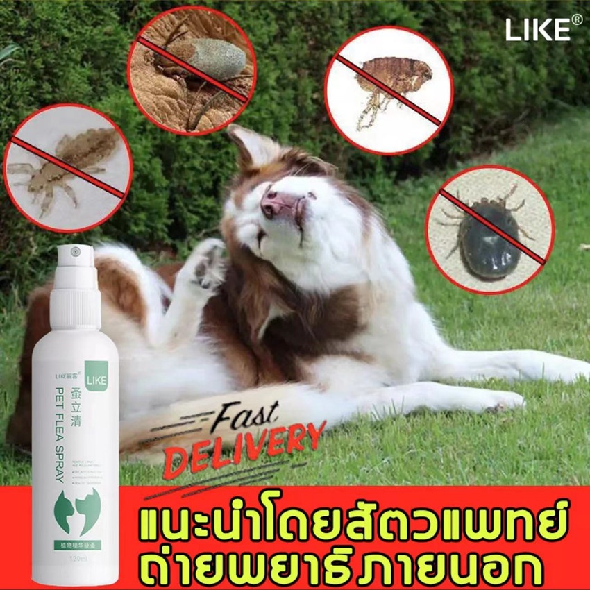 like-สเปรย์ไล่เห็บหมัด120ml-ใช้ได้กับทุกพันธุ์-ไม่ทำร้ายสัตว์เลี้ยง-อ่อนโยนไม่ฉุน-กำจัดหมัดและเหา-แก้ปัญหาสัตว์เลี้ยงได้