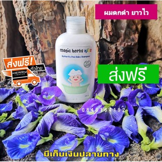 สินค้า ‼️ส่งฟรี ‼️แชมพู​เด็ก เร่งผมยาว magic herbs​ kids​