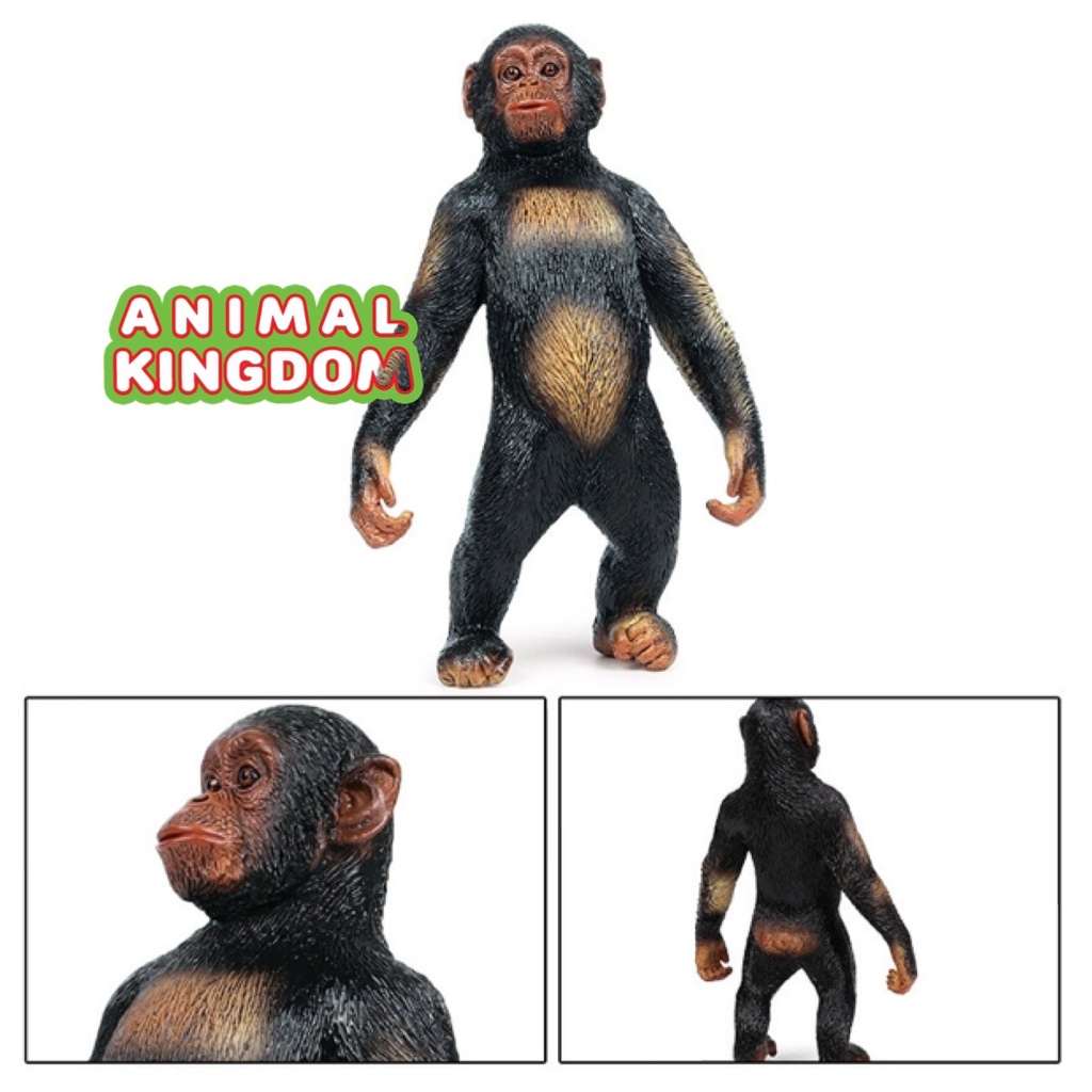 animal-kingdom-โมเดลสัตว์-ลิง-ชิมแปนซี-ขนาด-15-50-cm-จากหาดใหญ่