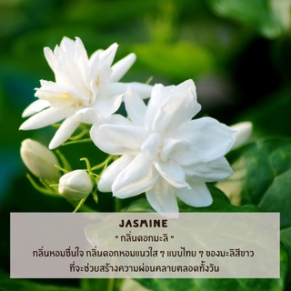 หัวน้ำหอม กลิ่นมะลิ (Jasmine Fragrance Oil) หัวน้ำหอมทำเทียน