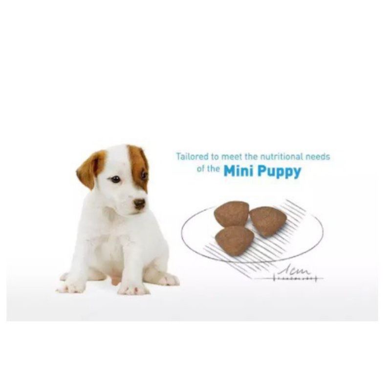 อาหารสุนัข-แบ่งขาย-royal-canin-mini-puppy-mini-adult-อาหารลูกสุนัขและสุนัขโตพันธ์เล็ก-แบ่งขาย-1kg