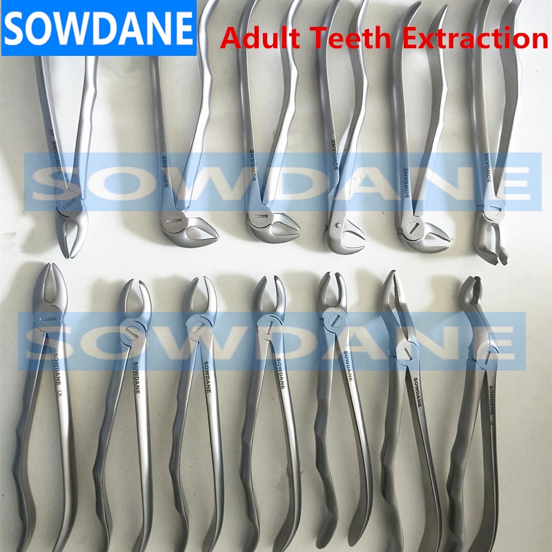 dental-adult-tooth-extraction-plier-for-upper-molars-left-gripping-in-depth-dental-orthodontic-surgery-forcep-dentist-t