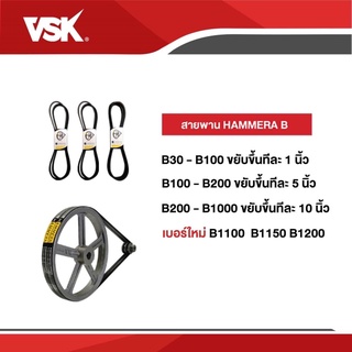 สายพานHAMMERA สายพานคุณภาพ สายพานร่องB ขนาดB250 - B1000 สายพานเพื่อเกษตรกรไทย