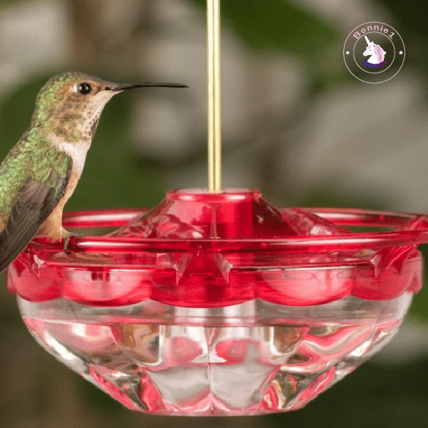 hummingbird-feeder-เครื่องให้อาหารนกพลาสติกกันน้ําสําหรับทํากิจกรรมข้างนอก