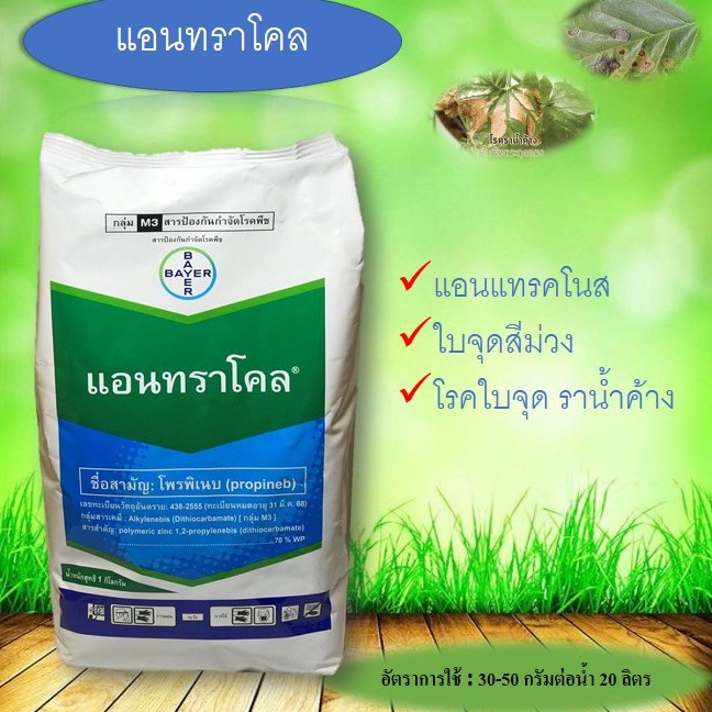 1kg-แอนทราโคล-โพรพิเนบ-กำจัดโรคพืช-กำจัดเชื้อรา-โรคใบไหม้-โรคราน้ำค้าง