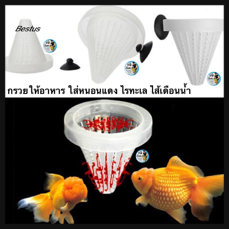 กรวยให้อาหาร-ใส่หนอนแดง-ถ้วยหนอนแดง-ไรทะเล-ไส้เดือนน้ำ