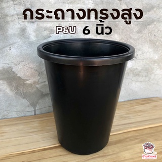 กระถาง 6 นิ้ว ทรงสูง P&amp;U #060 กระถางเลี้ยงไม้ตอ กระถางแคคตัส กระถางกระบองเพชร