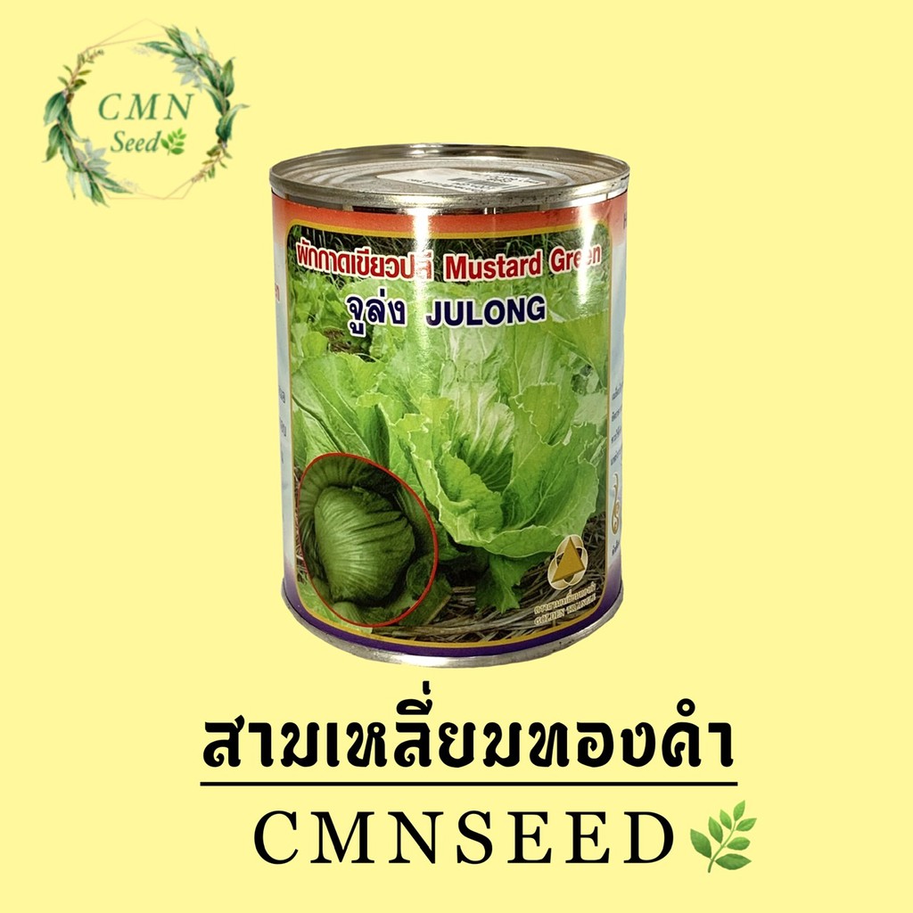 เมล็ดพันธุ์-ผักกาดเขียวปลี-จูล่ง-100-กรัม