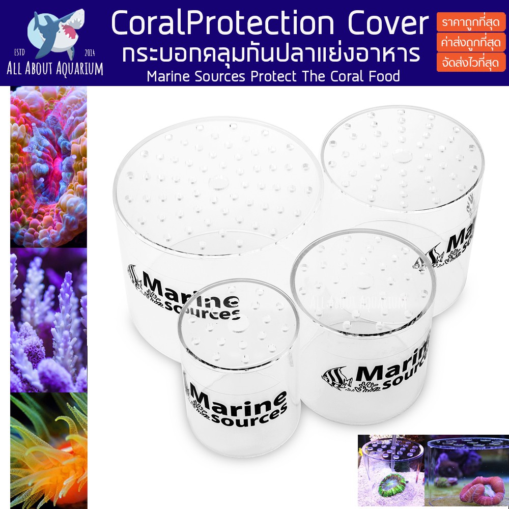 coral-feeding-protective-cover-กระบอกให้อาหารปะการัง-ป้องกันปลาแย่งอาหารปะการัง-ใส่ครอบปะการังลงใหม่-ครอบกันปะการังเดิน