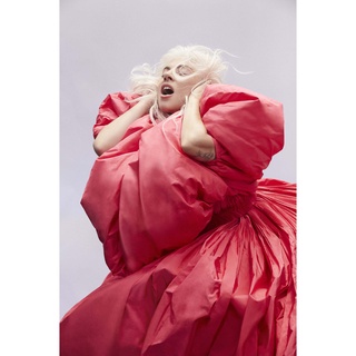 โปสเตอร์ Lady Gaga เลดีกาก้า Poster แต่งคอนโด ตกแต่งห้อง รูปภาพติดห้อง รูปภาพ ตกแต่งผนัง ของขวัญ โปสเตอร์ติดผนัง ของสะสม