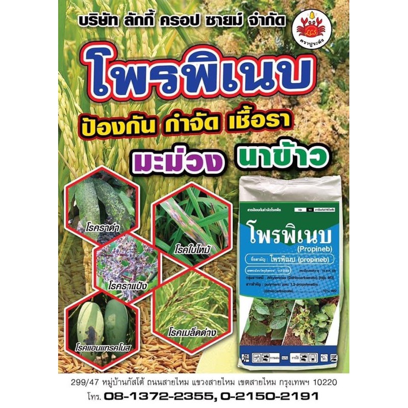 โพรพิเนบ-สารป้องกันและกำจัดเชื้อราในนาข้าว-มะม่วง