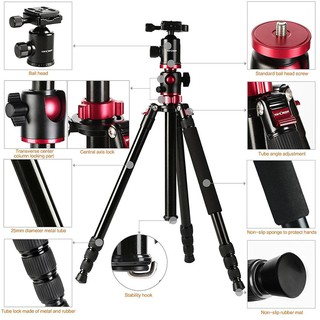 ขาตั้ง TRIOPO TRIPOD PMT-2504X8 .C+D-2A P Aluminum